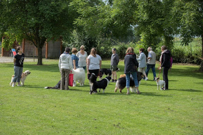 Dauphiné Education Canine à Le Passage