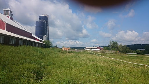 Winery «Boyden Valley Winery & Spirits», reviews and photos, 64 VT-104, Cambridge, VT 05444, USA