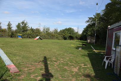 Hundeschule HSV Hagenbrunn