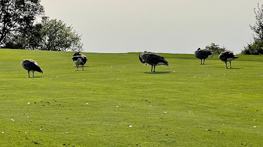 Country Club «Mulberry Hills Country Club», reviews and photos, 3530 Noble Rd, Oxford, MI 48370, USA