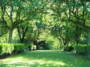 Photo n°30 de Camping Le Chauvieux 3 étoiles Camping à Salavas en Ardèche proche Vallon Pont d'Arc à Salavas ()