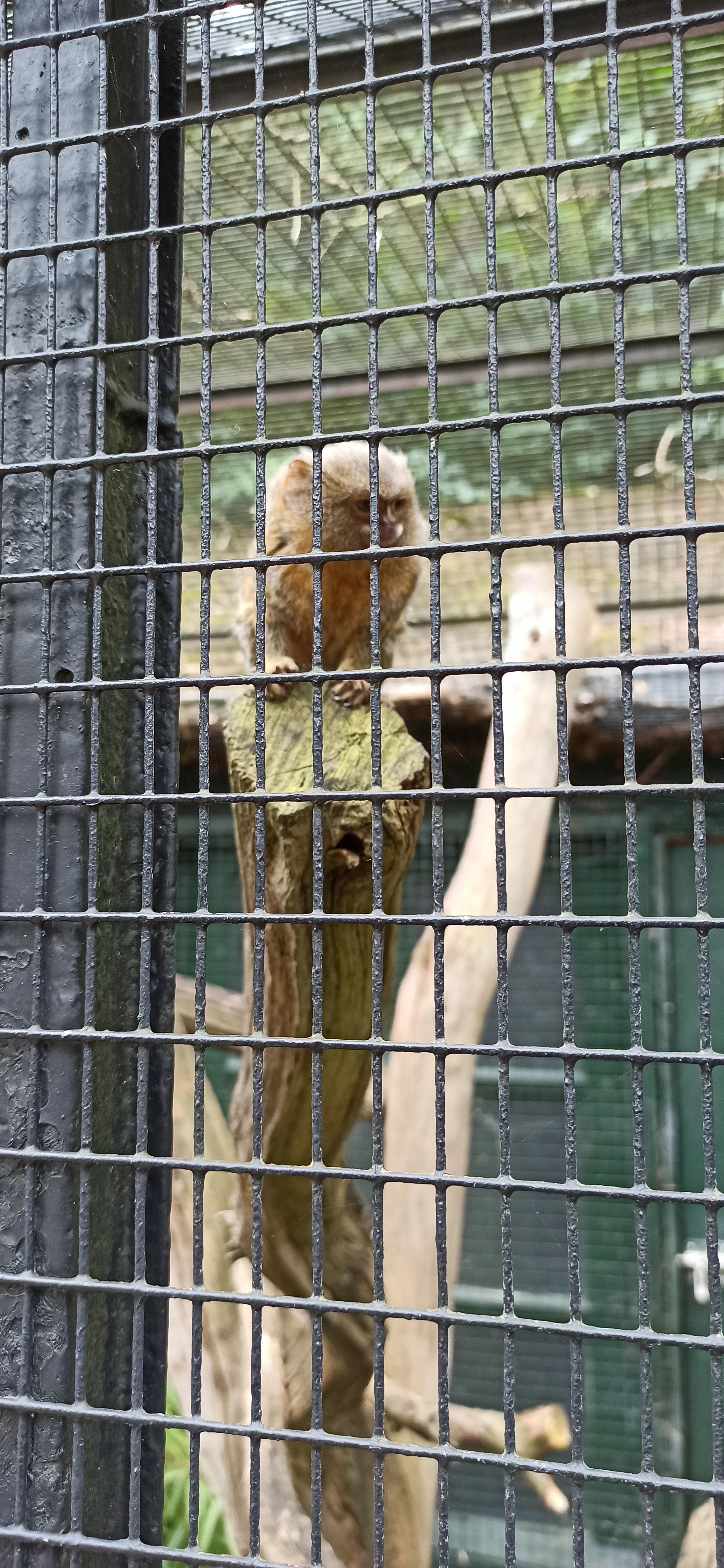 Photo n° 5 de l'avis de julien.t fait le 19/08/2021 à 14:14