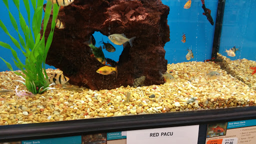 Pet Supply Store «Petco Animal Supplies», reviews and photos, 216 Colony Pl, Plymouth, MA 02360, USA