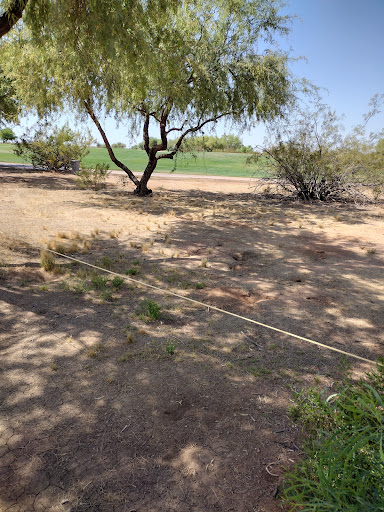 Golf Course «Talking Stick Golf Club», reviews and photos, 9998 E Indian Bend Rd, Scottsdale, AZ 85256, USA