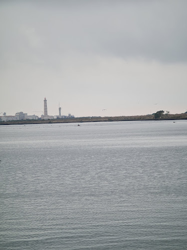 Comentários e avaliações sobre o Ferry Boat Aveiro