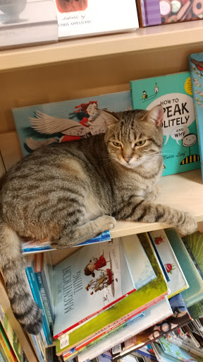 Book Store «Orca Books», reviews and photos, 509 4th Ave E, Olympia, WA 98501, USA