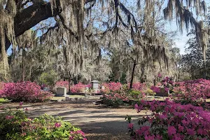 Bonaventure Cemetery image