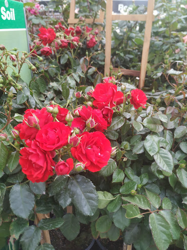 Home Improvement Store «The Home Depot», reviews and photos, 6000 Johnson Dr, Pleasanton, CA 94588, USA