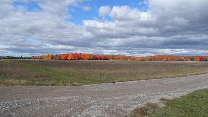 Boyne Mountain Viewing Area