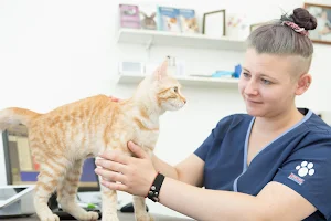 Mitcham Veterinary Surgery image