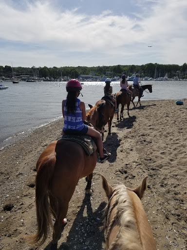 Tourist Attraction «C and L Stables», reviews and photos, 1095 Ives Rd, East Greenwich, RI 02818, USA