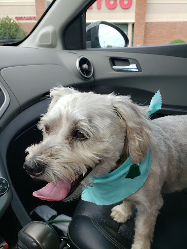 Pet Supply Store «Petco Animal Supplies», reviews and photos, 308 E Meighan Blvd, Gadsden, AL 35903, USA