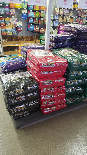 Pet Store «Petland Pensacola», reviews and photos, 6235 N Davis Hwy, Pensacola, FL 32504, USA