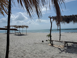 Fotografie cu Playa Malibu și așezarea