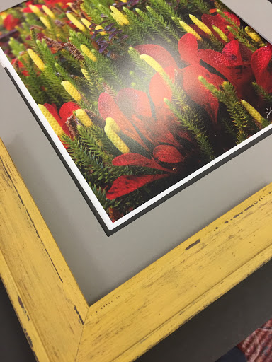 Picture Frame Shop «Home Port Gallery», reviews and photos, 6170 US-41, Apollo Beach, FL 33572, USA