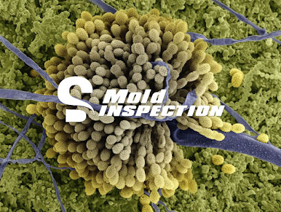 SD Mold Inspection