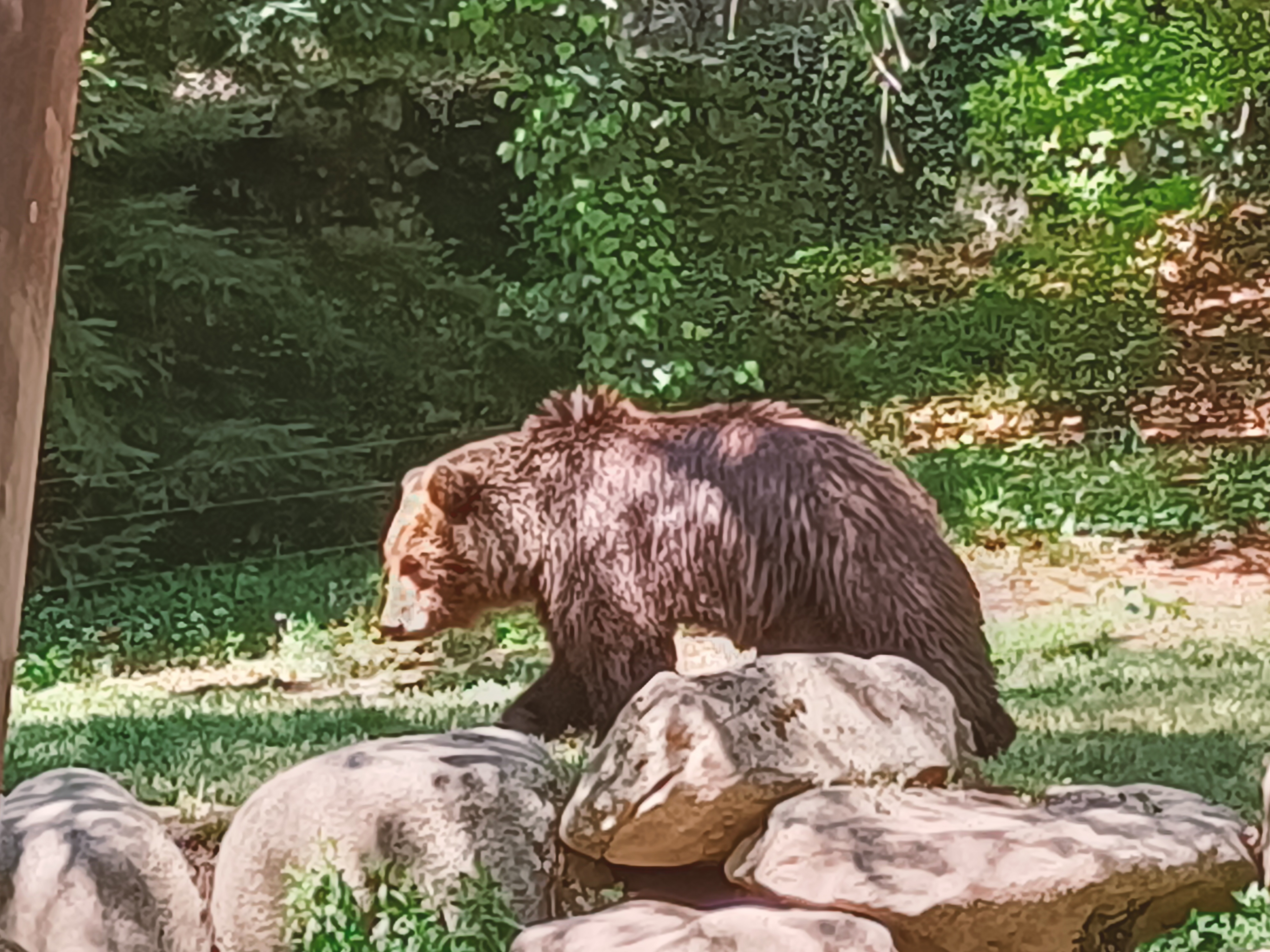 Photo n° 5 de l'avis de Sebastien.o fait le 02/05/2023 à 21:59