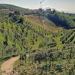 Photo n°6 de l'avis de Marco.a fait le 08/10/2023 à 16:24 sur le  Osteria Senz'Oste à Valdobbiadene