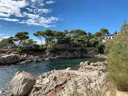 Photo de Cala Pedrosa avec petite baie