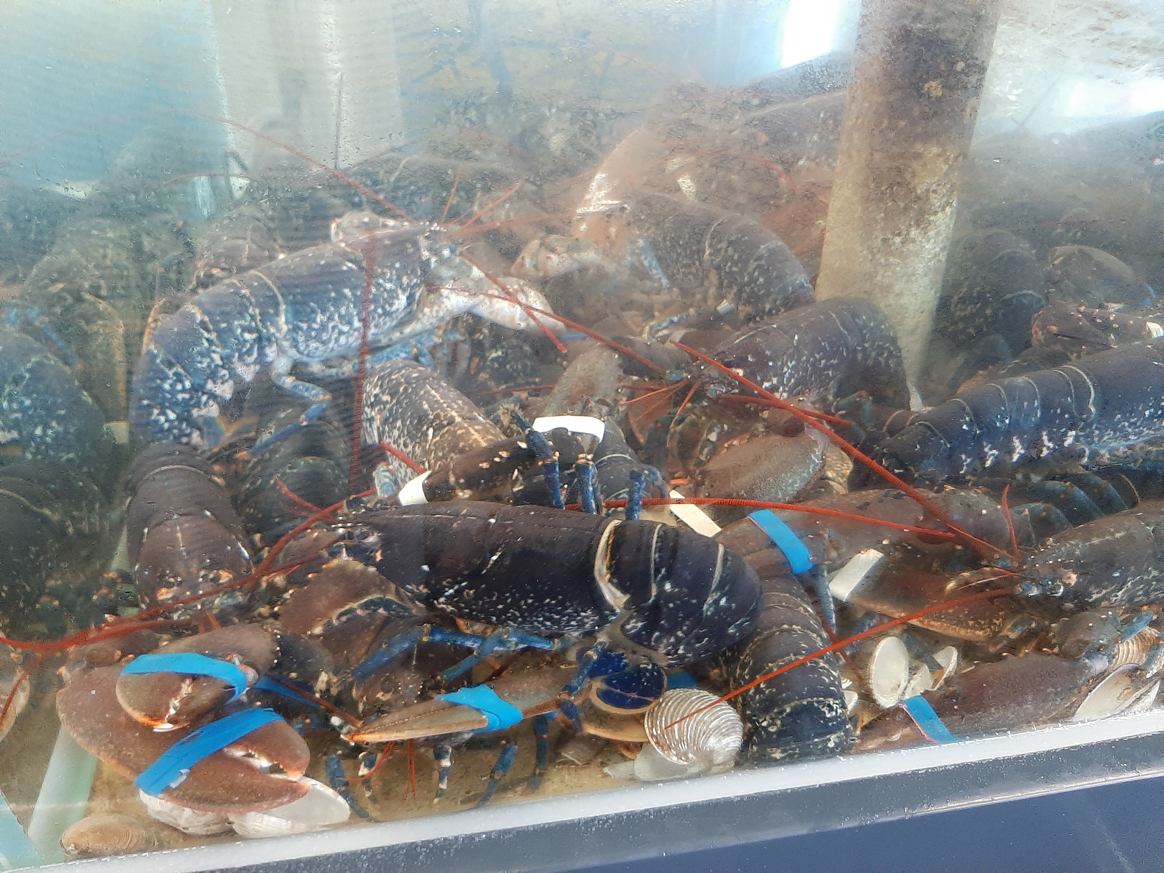 Photo n° 2 de l'avis de carole.a fait le 25/08/2019 à 10:27