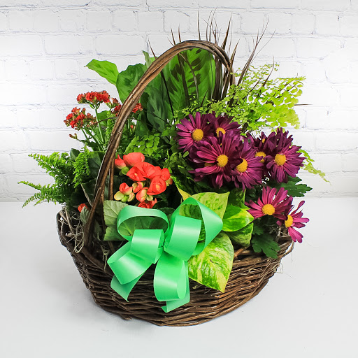 Florist «Ashland Addison Florist Co», reviews and photos, 250 E Superior St, Chicago, IL 60611, USA