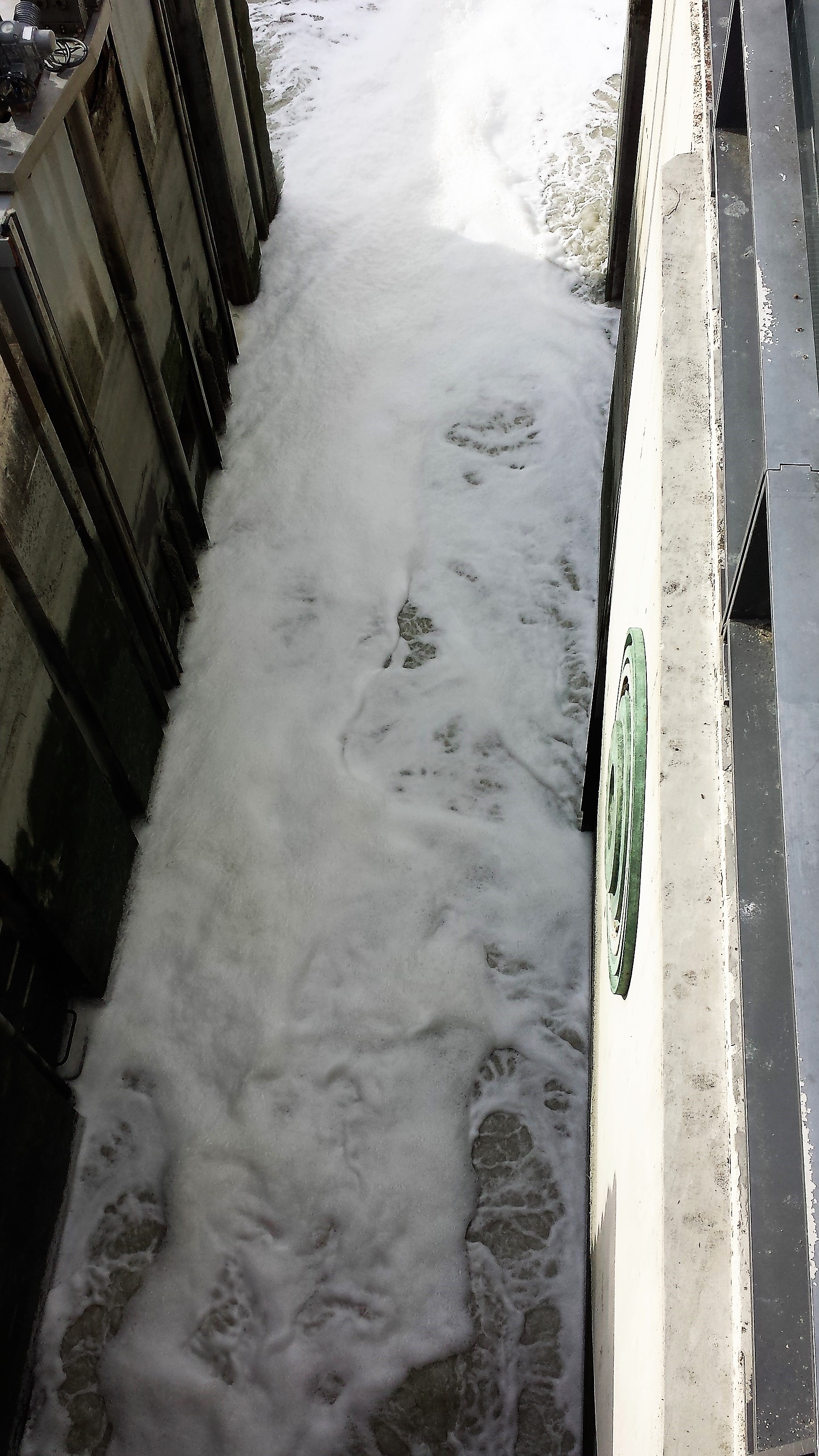 Photo n° 1 de l'avis de Mamounette. fait le 20/01/2019 à 16:55