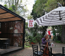 Antull Restaurante photo