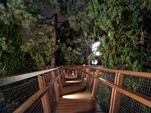 Treetop Walk Serralves