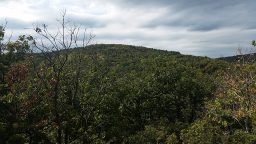 Nature Preserve «The New Weis Center for Education, Arts & Recreation», reviews and photos, 150 Snake Den Rd, Ringwood, NJ 07456, USA