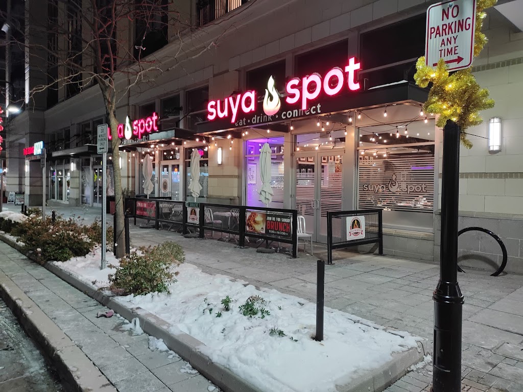 Suya Spot Nigerian Grill 21117