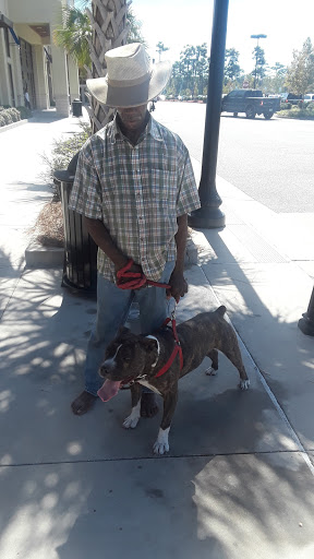 Pet Supply Store «Petco Animal Supplies», reviews and photos, 160 Sayebrook Pkwy, Myrtle Beach, SC 29588, USA