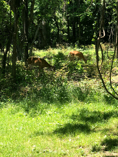 Park «Percy Warner Park», reviews and photos, 7311 Tennessee 100, Nashville, TN 37221, USA