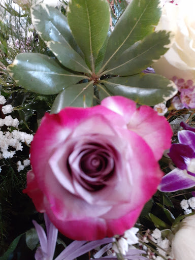 Florist «Roanoke Florist», reviews and photos, 500 US-377, Roanoke, TX 76262, USA