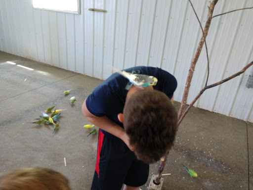 Zoo «Special Memories Zoo», reviews and photos, W7013 Spring Rd, Greenville, WI 54942, USA