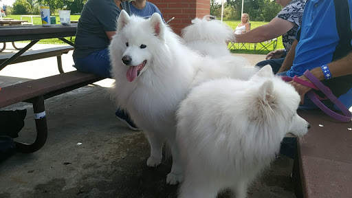 State Park «James Pate Philip State Park», reviews and photos, 2050 W Stearns Rd, Bartlett, IL 60103, USA