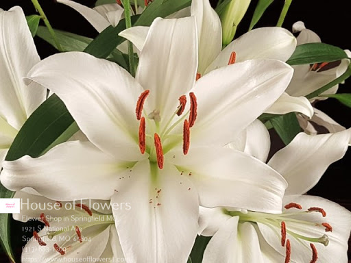 Florist «House of Flowers», reviews and photos, 1921 S National Ave, Springfield, MO 65804, USA