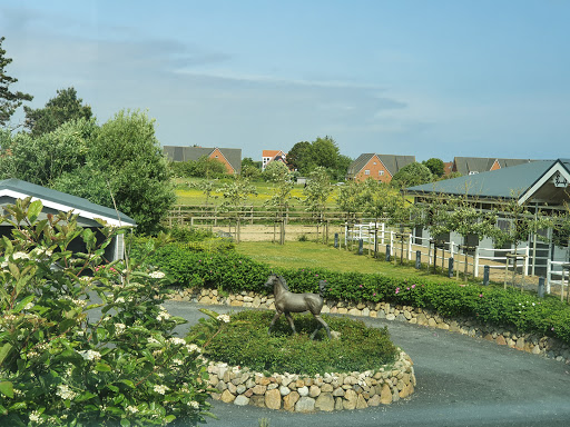 Petersen Stephanie vet unter Wenningstedt-Braderup, 