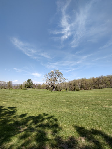 Public Golf Course «Valley View Golf Club», reviews and photos, 4638 US Hwy 220, Moorefield, WV 26836, USA