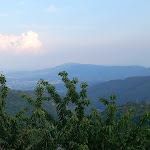 Photo n°5 de l'avis de Eleonora.a fait le 18/06/2023 à 22:27 sur le  Pizzeria Il Focolare à Momigno