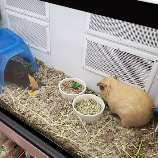 Pet Supply Store «Petco Animal Supplies», reviews and photos, 9078 SE Sunnyside Rd, Clackamas, OR 97015, USA