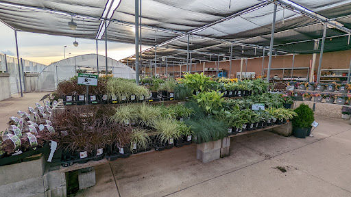 Grocery Store «Meijer», reviews and photos, 10138 Indianapolis Blvd, Highland, IN 46322, USA