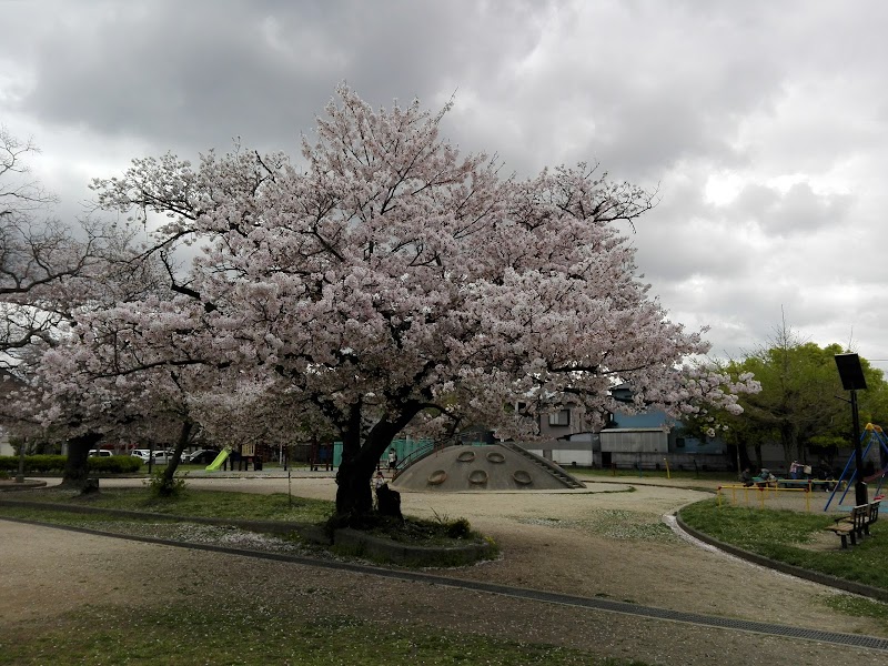 砂山公園 和歌山県和歌山市出口 公園 公園 グルコミ