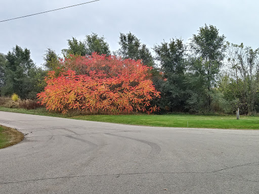 Country Club «Nippersink Golf Club & Resort», reviews and photos, N1055 Tombeau Road, Genoa City, WI 53128, USA