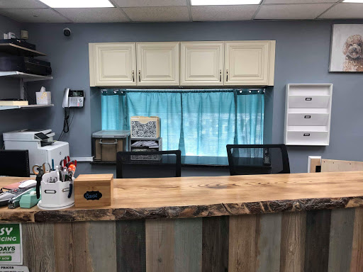 Dog Breeder «Playful Pets», reviews and photos, 115 Ridge Pike, Conshohocken, PA 19428, USA