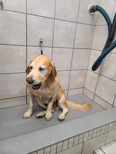 Pet Supply Store «Pet Supplies Plus», reviews and photos, 1206 W Dundee Rd, Buffalo Grove, IL 60089, USA