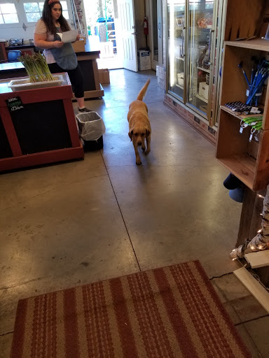 Produce Market «Washington Fruit Place At Barrett Orchards», reviews and photos, 1209 Pecks Canyon Rd, Yakima, WA 98908, USA