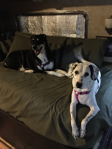 Pet Supply Store «Pet Supplies Plus», reviews and photos, 101 Sutton Ave, Oxford, MA 01540, USA