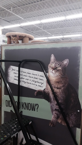 Pet Supply Store «Pet Supplies Plus», reviews and photos, 4121 Buffalo Rd, Erie, PA 16510, USA