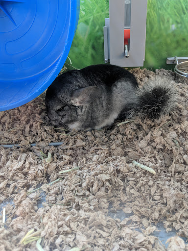 Pet Store «PetSmart», reviews and photos, 17150 Ventura Blvd, Encino, CA 91316, USA