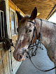 CENTRE EQUESTRE DE BOURROU Bourrou